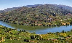 Rio Douro