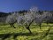 © juanjo-stock.adobe.com