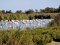 &copy; Gilles Paire-fotolia.com