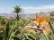 © Kruwt-fotolia.com