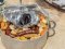 © lenisecalleja-fotolia.com