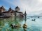 © markus thoenen - stock.adobe.com