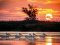 &copy; Calin Stan-fotolia.com
