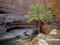 &copy; Oman Tourism